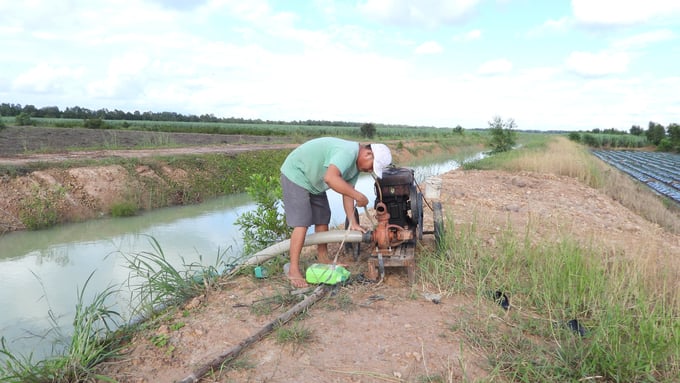 Người dân Phước Ninh khẩn trương lấy nước phục vụ sản xuất. Ảnh: Trần Trung.