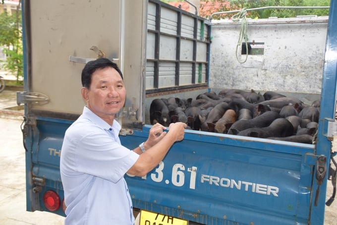 Anh Nguyễn Văn Tiến, Giám đốc Công ty TNHH Tổng hợp Việt Tiến, đơn vị cung ứng con giống heo đen bản địa chuẩn bị giao heo giống cho 14 hộ đồng bào dân tộc thiểu số xã Bok Tới. Ảnh: V.Đ.T.