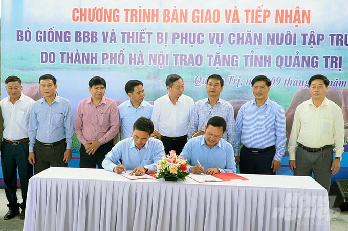 Ký bàn giao 100 con bò giống cho tỉnh Quảng Trị. Ảnh: Võ Dũng.