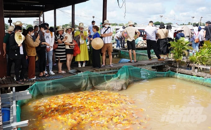 Du khách từ khắp mọi nơi đến tham quan. Ảnh: Nguyễn Thủy.