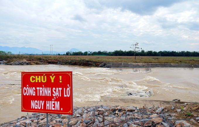 Tỉnh Quảng Nam hiện có gần 100 vị trí ven sông nguy cơ sạt lở cao, đe dọa cuộc sống, sản xuất của người dân. Ảnh: L.K.