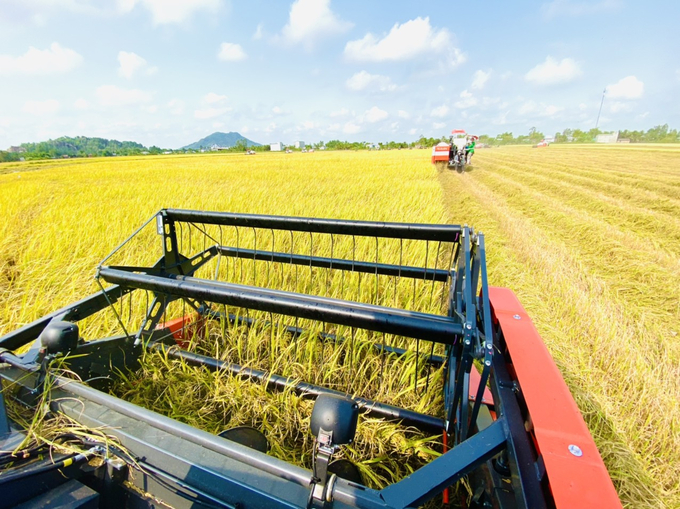 Lúa gạo là một trong những ngành hàng mà phát thải khí nhà kính chiếm tỷ trọng tương đối lớn. Ảnh: TL.