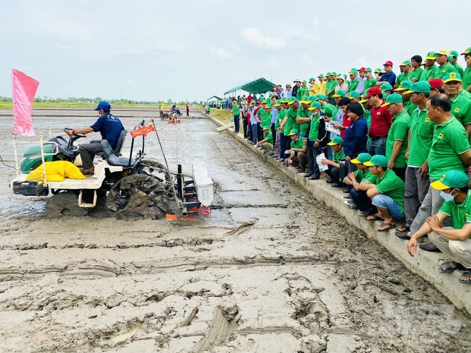 Cánh tác lúa thông minh áp dụng đồng bộ các giải pháp kỹ thuật vào đồng ruộng, giúp giảm lượng lúa giống, giảm phân bón, hạn chế tối đa việc sử dụng thuốc BVTV. Ảnh: Lê Hoàng Vũ.