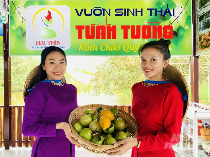 Nằm cách trung tâm hành chính huyện Phong Điền khoảng 2km, vườn du lịch sinh thái Tuấn Tường của HTX Hai Thìn ở ấp Nhơn Lộc 1A thuộc thị trấn Phong Điền, TP Cần Thơ có nhiều cảnh đẹp và dịch vụ trải nghiệm hấp dẫn. Ảnh: Lê Hoàng Vũ.