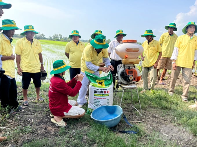 Trong vụ hè thu nhiều nông dân thực hiện mô hình canh tác thông minh giúp lợi nhuận tăng thêm từ 4 - 4,5 triệu đồng/ha. Ảnh: Lê Hoàng Vũ.