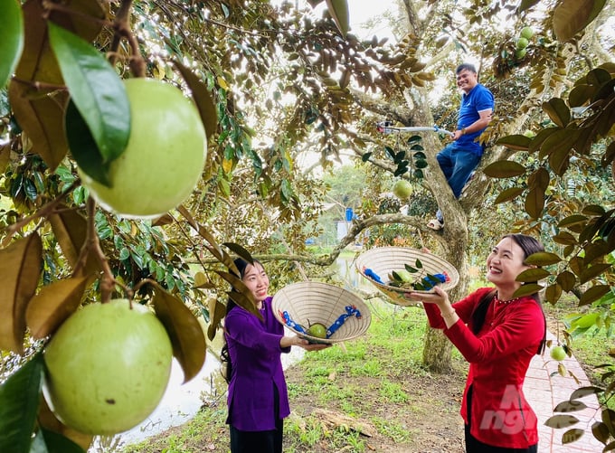 Hiện nay huyện Phong Điền được định hướng trở thành đô thị trọng điểm về du lịch sinh thái của TP Cần Thơ. Ảnh: Lê Hoàng Vũ.