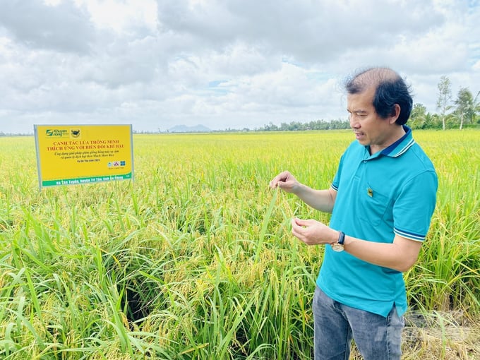 Quy trình canh tác lúa thông minh thích ứng với biến đổi khí hậu tiếp tục được cập nhật các tiến bộ kỹ thuật, giải pháp mới, ứng dụng các trang thiết bị thông minh, ứng dụng cơ giới hóa đồng bộ để quy trình ngày càng hiệu quả hơn. Ảnh: Lê Hoàng Vũ.