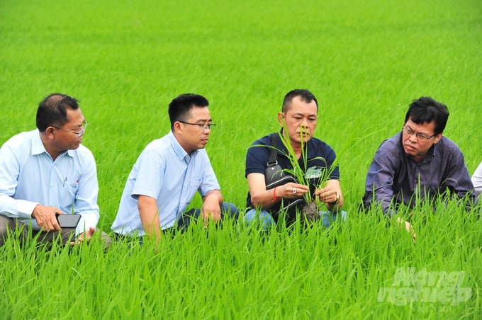 Ông Võ Văn Phu, Phó Tổng Giám đốc Công ty Cổ phần Phân bón Bình Điền trực tiếp dẫn đoàn tham quan Campuchia cho biết: Chuyến tham quan này rất có ý nghĩa, vừa quảng bá được tiến bộ khoa học kỹ thuật mới trong canh tác nông nghiệp của Việt Nam đến nước bạn Campuchia, đồng thời giới thiệu với nông dân và nhà quản lý nông nghiệp Campuchia những dòng sản phẩm phân bón của Bình Điền được sử dụng thực tế trên các cánh đồng lớn ở các tỉnh ĐBSCL mang lại hiệu quả cao.