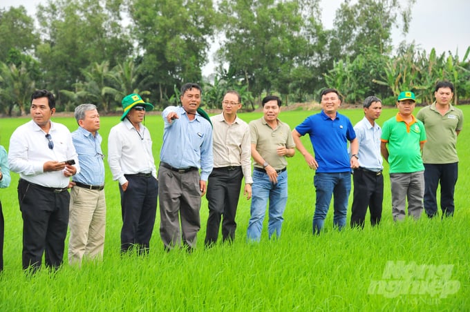 Theo ông Võ Văn Phu, Campuchia là một trong những thị trường trọng điểm xuất khẩu phân bón Đầu Trâu với doanh thu năm 2023 đạt hơn 1.000 tỷ đồng. Cũng như tại Việt Nam, hơn 20 năm qua, Bình Điền phối hợp các cơ quan ban ngành Campuchia đã thực hiện rất nhiều mô hình kết hợp với tập huấn, hội thảo để chuyển giao kỹ thuật canh tác cho bà con nông dân Campuchia.