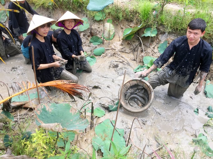 Du khách trải nghiệm tát mương bắt cá đồng. Ảnh: Lê Hoàng Vũ.