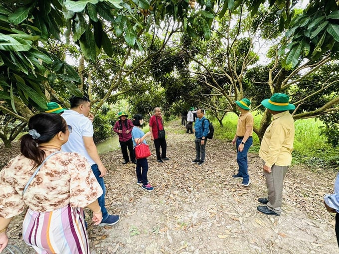 Theo ông Sameng Keomonine, Phó Tổng Cục trưởng Tổng cục Nông Lâm Ngư nghiệp Campuchia, chuyến đi đã giúp đoàn học hỏi được nhiều kinh nghiệm sản xuất nông nghiệp tại ĐBSCL. Đây thực sự là những trải nghiệm và kiến thức rất bổ ích đối với Campuchia trong việc triển khai thực hiện công tác điều hành, chỉ đạo sản xuất lúa thời gian tới. Từ đó giúp nông dân Campuchia ứng dụng các tiến bộ kỹ thuật mới vào sản xuất nông nghiệp, giảm chi phí, gia tăng lợi nhuận so với cách làm truyền thống.