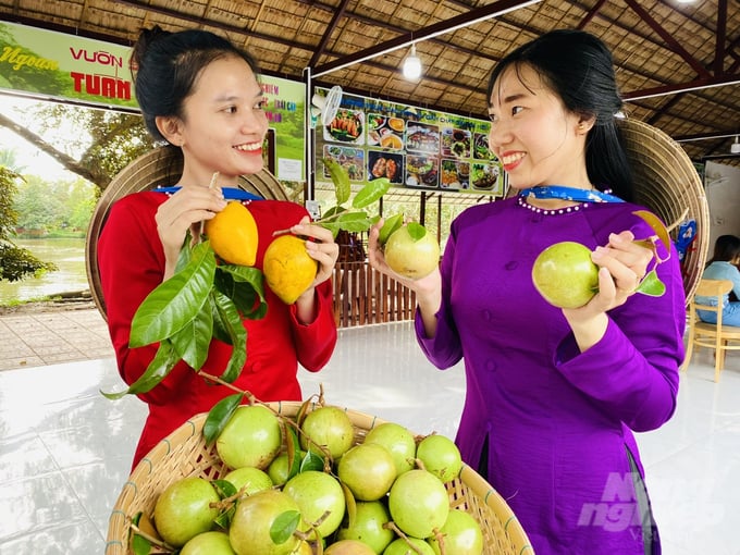 Vườn du lịch sinh thái Tuấn Tường ra đời xuất phát từ việc muốn kết nối các hộ dân tại địa phương trong sản xuất tiêu thụ trái cây gắn với phát triển du lịch để tạo thuận lợi về đầu ra và nâng cao được các giá trị gia tăng. Ảnh: Lê Hoàng Vũ.