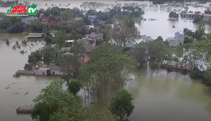 Nếu không được phát hiện và xử lý kịp thời, thiệt hại do các cố đê điều là rất lớn. Ảnh: Minh Phúc.