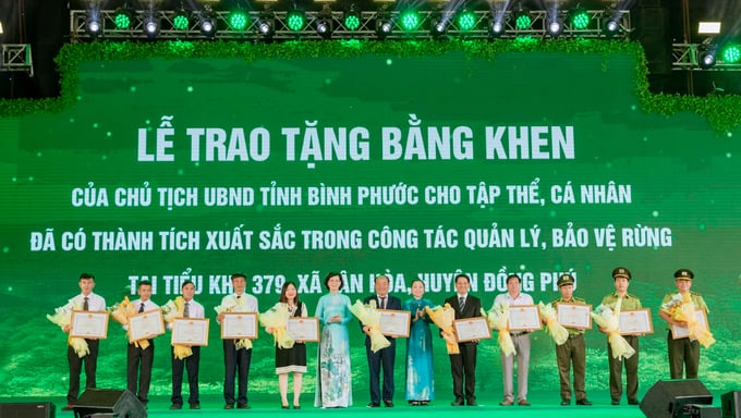 Trao bằng khen cho nhiều cá nhân, tổ chức có thành tích xuất sắc trong công tác bảo vệ rừng