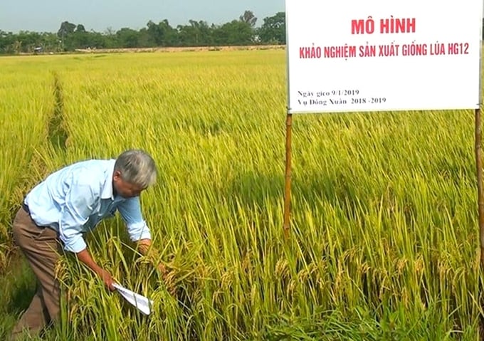 Quyết định bãi bỏ toàn bộ 7 thông tư và bãi bỏ một phần 7 thông tư có hiệu lực từ ngày 5/2/2024. Ảnh: MH.