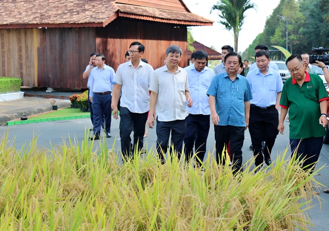 Bộ trưởng Bộ NN-PTNT Lê Minh Hoan khảo sát tại mô hình triển lãm 'Con đường lúa gạo Việt Nam'. Ảnh: Phương Thảo.