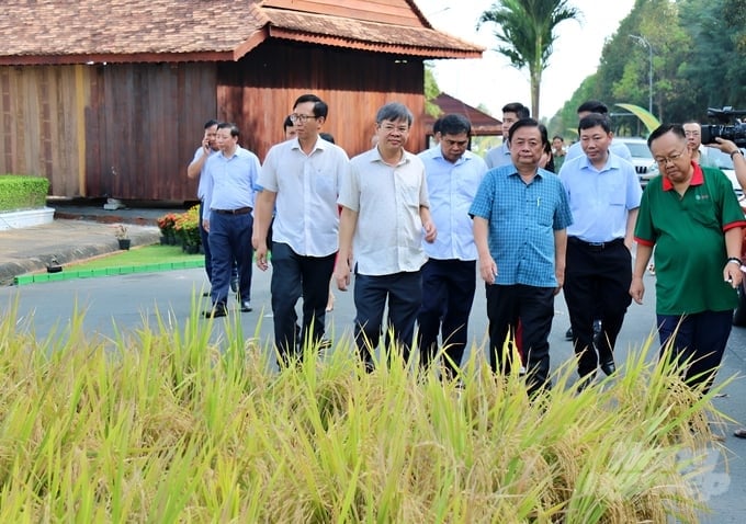 Bộ trưởng Bộ NN-PTNT Lê Minh Hoan khảo sát tại mô hình triển lãm 'Con đường lúa gạo Việt Nam'. Ảnh: Phương Thảo.