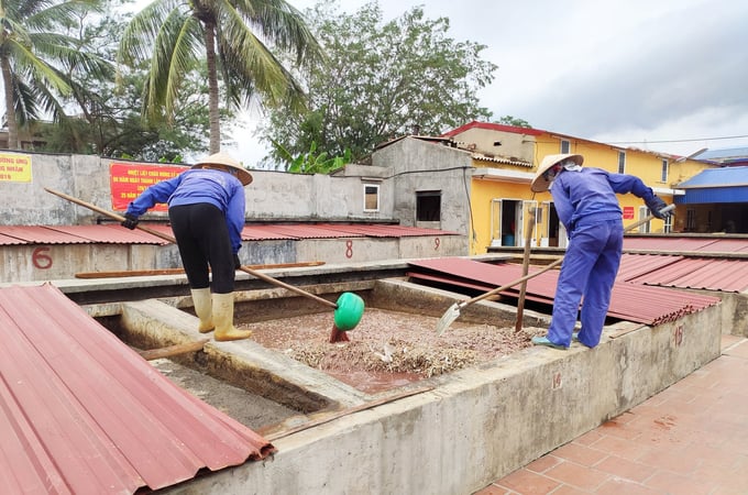 Sản xuất nước mắm tại thị trấn Cát Hải. Ảnh: Đinh Mười.