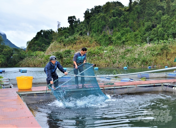 Việc tiêu chuẩn, quy chuẩn hóa các sản phẩm nông, thủy sản giúp Tuyên Quang nâng tầm thương hiệu và giá trị sản phẩm. Ảnh: Đào Thanh.