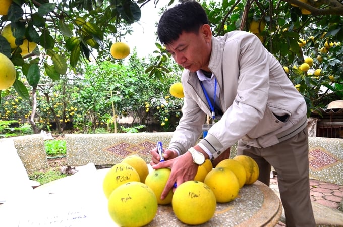 Viết tên chủ vườn lên mẫu quả. Ảnh: Dương Đình Tường.