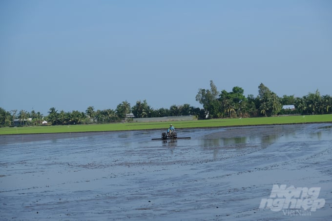 Khu ruộng phẳng phiu, đẹp đẽ của anh Nguyễn Văn Em (ấp 12, xã Vị Trung, huyện Vị Thủy) - nơi diễn ra cuộc trình diễn cơ giới hóa nông nghiệp.