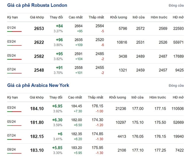 Giá Arabica và Robusta mới nhất ngày 12/12/2023