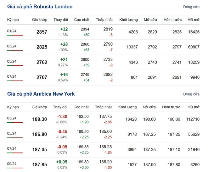 Giá Arabica và Robusta mới nhất ngày 16/12/2023
