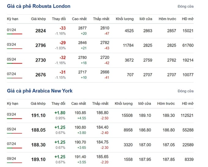 Giá Arabica và Robusta mới nhất ngày 19/12/2023