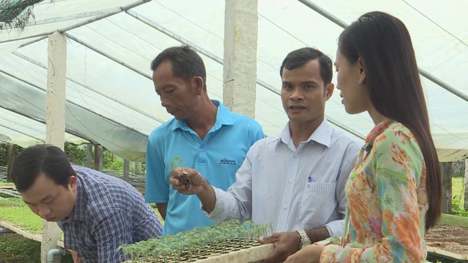 Nông dân Trà Vinh được khuyến khích mở rộng mô hình sản xuất theo hướng hữu cơ. Ảnh: Hồ Thảo.