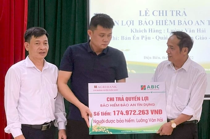 Bảo hiểm Agribank đã chi trả quyền lợi cho hàng nghìn khách hàng khi tham gia các sản phẩm bảo hiểm của công ty. Ảnh: ABIC.