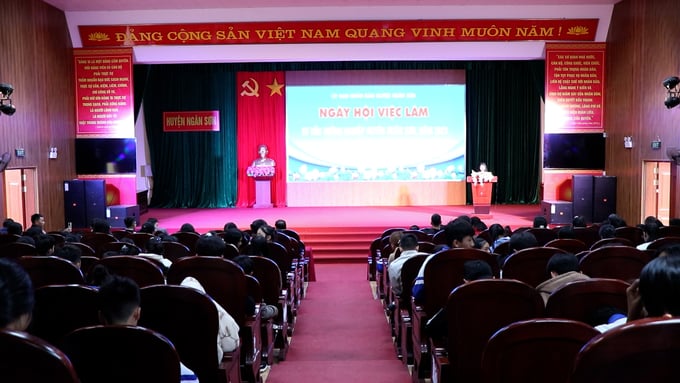 Huyện Ngân Sơn tổ chức tư vấn, ngày hội việc làm cho người lao động, thanh niên ở khu vực nông thôn.Ảnh: Ngọc Tú. 