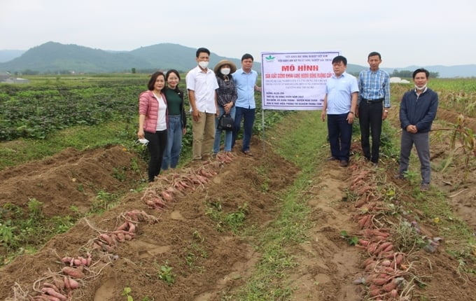 Các cây trồng chủ lực địa phương luôn được Viện tập trung nghiên cứu chọn tạo theo hướng năng suất cao, chất lượng tốt, ngắn ngày thích hợp với từng tiểu vùng khí hậu sinh thái vùng.