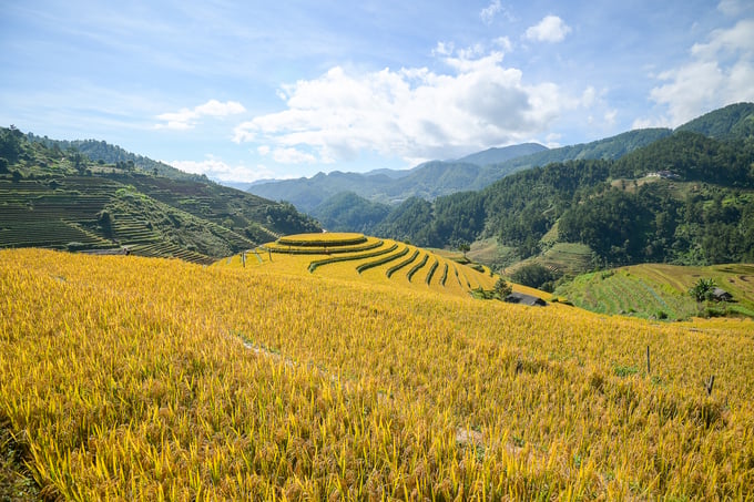 Mở rộng hạn mức, đối tượng nhận chuyển nhượng đất nông nghiệp góp phần thúc đẩy đầu tư vào sản xuất nông nghiệp. Ảnh: Tùng Đinh.