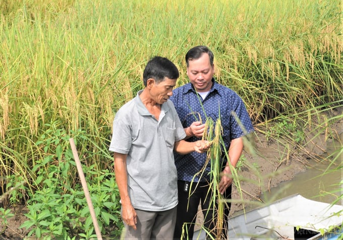 Chuyển đổi sản xuất góp phần xây dựng nông thôn mới ở Tây Yên A. Ảnh: Trung Chánh. 