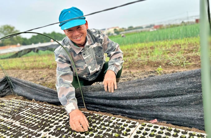 Ông Nguyễn Văn Cam, xã viên của HTX Văn Đức mong muốn liên kết với doanh nghiệp, có đầu ra ổn định, góp phần trực tiếp vào đảm bảo an toàn thực phẩm cho cộng đồng. Ảnh: Phương Thảo.