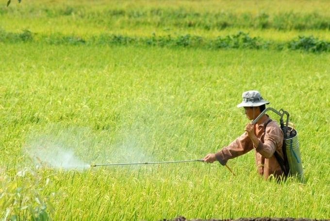 Việc quản lý, đăng ký thuốc bảo vệ thực vật sinh học được ưu tiên. Ảnh: LHV.