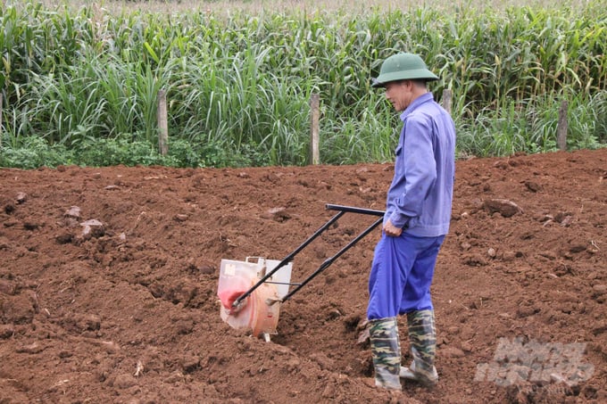 Nông dân Hoà Bình xuống giống ngô sinh khối. Ảnh: K.Trung.