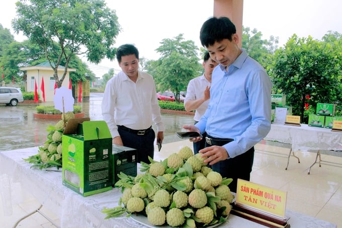 Sản phẩm na Đông Triều được bán trên các sàn thương mại điện tử. Ảnh: Nguyễn Thành.