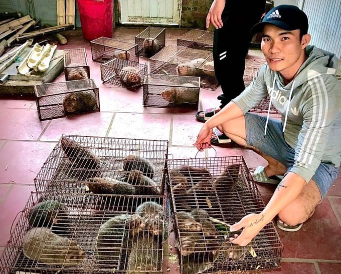 Anh Trần Ngọc Hòa: 'Rất muốn liên kết sản xuất để phát triển nghề nuôi dúi và tiêu thụ sản phẩm'. Ảnh: Nguyễn Tâm.