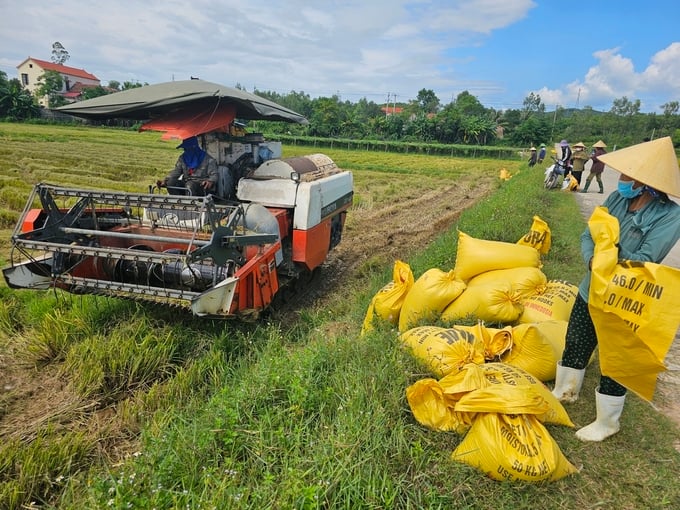 Năng suất lúa tại Quảng Bình luôn đạt cao trong những năm qua. Ảnh: Tâm Đức