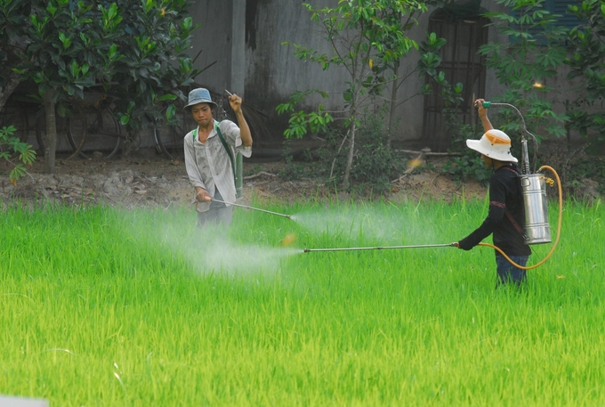 Hướng dẫn người dân sử dụng thuốc BVTV đúng cách, an toàn, có bảo hộ lao động.