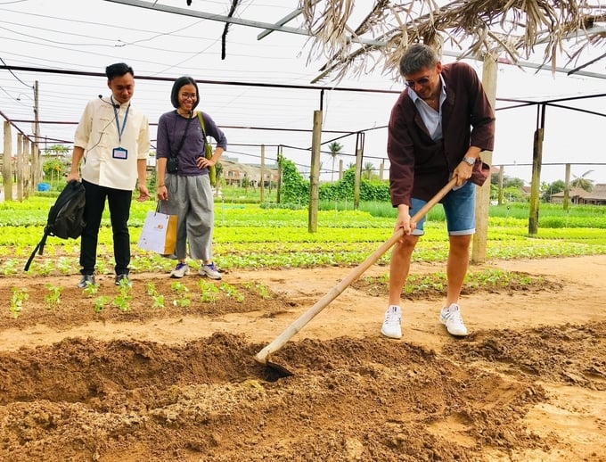 Đến Trà Quế, khách du lịch được trải nghiệm trực tiếp cách trồng rau của người dân địa phương. Ảnh: L.K.