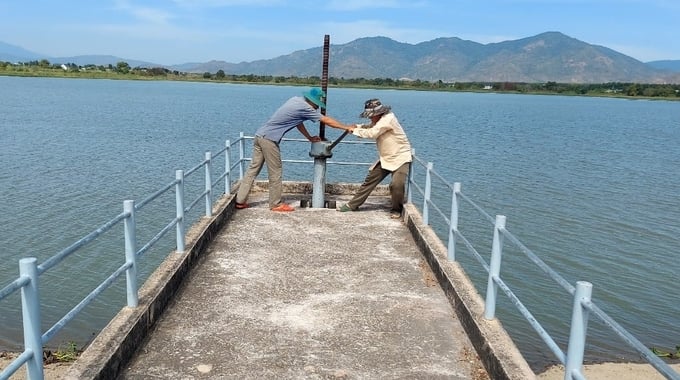 Công ty thủy lợi Bình Thuận mở nước phục vụ sản xuất vụ đông xuân. Ảnh: KS.