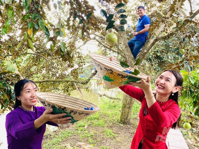 Trường Cao đẳng Cơ điện Nông nghiệp Nam bộ triển khai tập huấn nâng cao năng lực, nghiệp vụ cho các chủ cơ sở, lao động làm việc tại các địa điểm du lịch nông nghiệp, nông thôn ở ĐBSCL. Ảnh: Lê Hoàng Vũ.