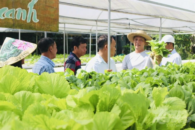 Điểm nông trại Cần Thơ Farm đã thu hút nhiều khách du lịch đến trải nghiệm du lịch nông nghiệp sinh thái ngày càng đông hơn. Ảnh: Lê Hoàng Vũ.