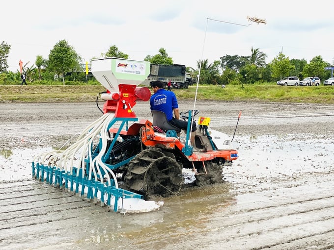 An Giang đăng ký tham gia Đề án 1 triệu ha lúa với lộ trình 100.000ha đến năm 2025 và 150.000ha đến năm 2030 tại 11 huyện/thị/thành. Ảnh: Lê Hoàng Vũ.