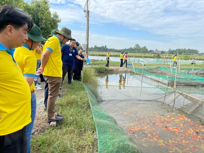 Đến với huyện Bình Chánh, du khách được tham quan, nghe kể về chuyện làm nông nghiệp của người dân nơi đây.