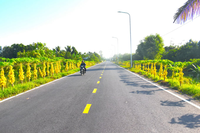 Giao thông đi trước mở đường cho kinh tế huyện Cái Bè đi lên. Ảnh: Minh Đảm.