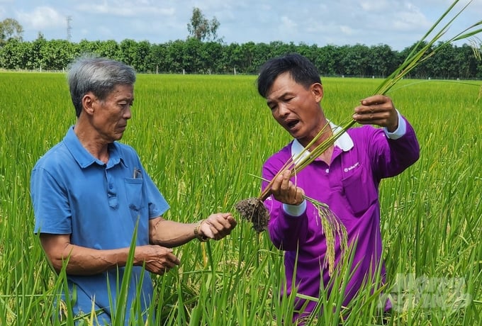 Năm 2024, tỉnh Sóc Trăng định hướng lồng ghép các chương trình, dự án khác của tỉnh để thực hiện đạt mục tiêu Đề án phát triển bền vững 1 triệu ha chuyên canh lúa chất lượng cao và phát thải thấp gắn với với tăng trưởng xanh vùng ĐBSCL đến năm 2030. Ảnh: Kim Anh.