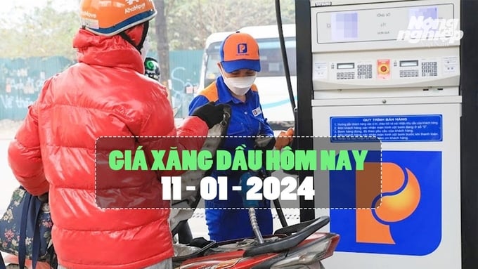 Cập nhật giá xăng dầu mới nhất hôm nay 11/1/2024